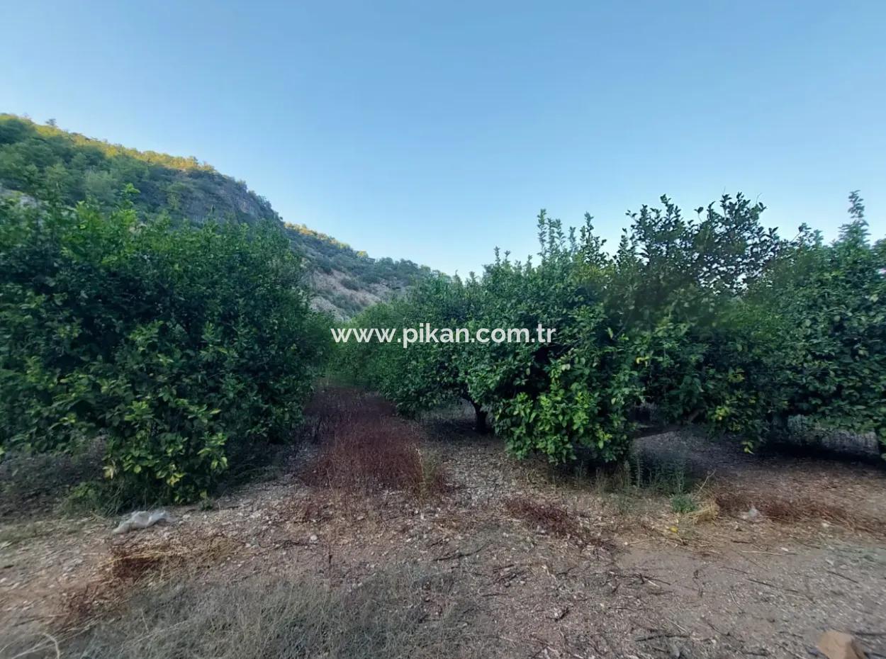 1.300 M2 Detached 250M2 Residential Zoned Land For Sale In Muğla, Ortaca, Karadonlar
