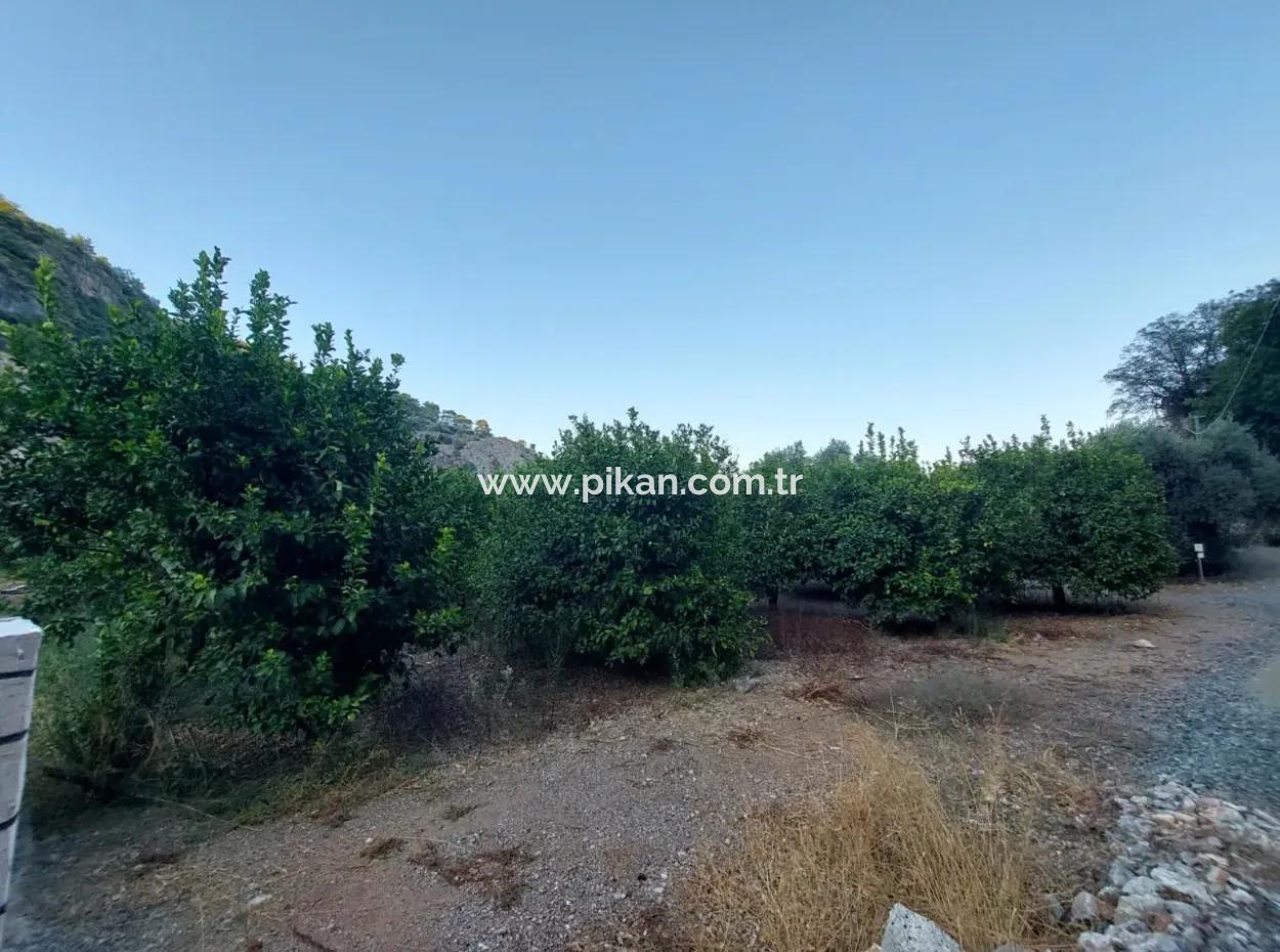 1.300 M2 Detached 250M2 Residential Zoned Land For Sale In Muğla, Ortaca, Karadonlar