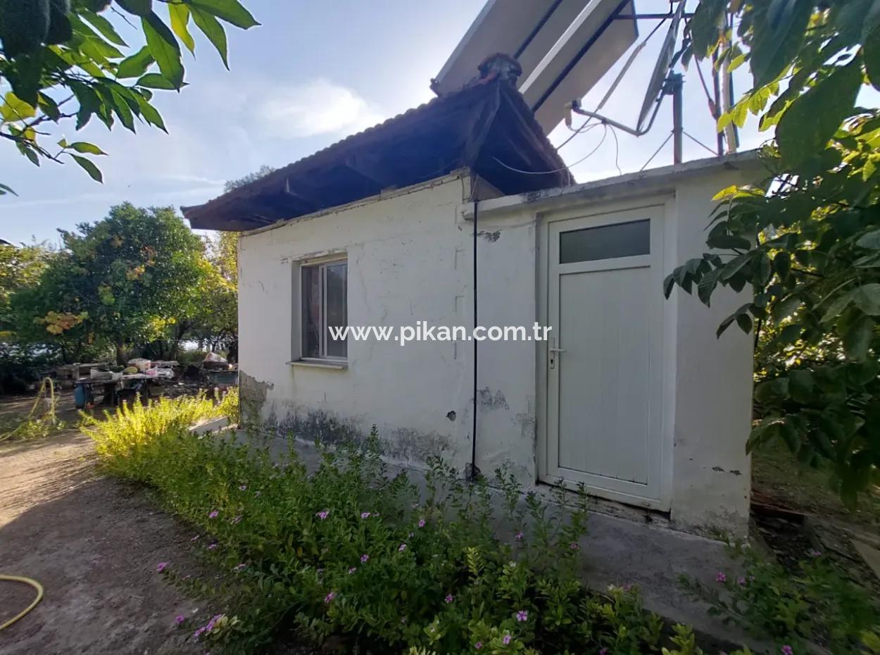 Köyceğiz Çandır Dalyan Canal Zero 865 M2 House And Restaurant For Sale