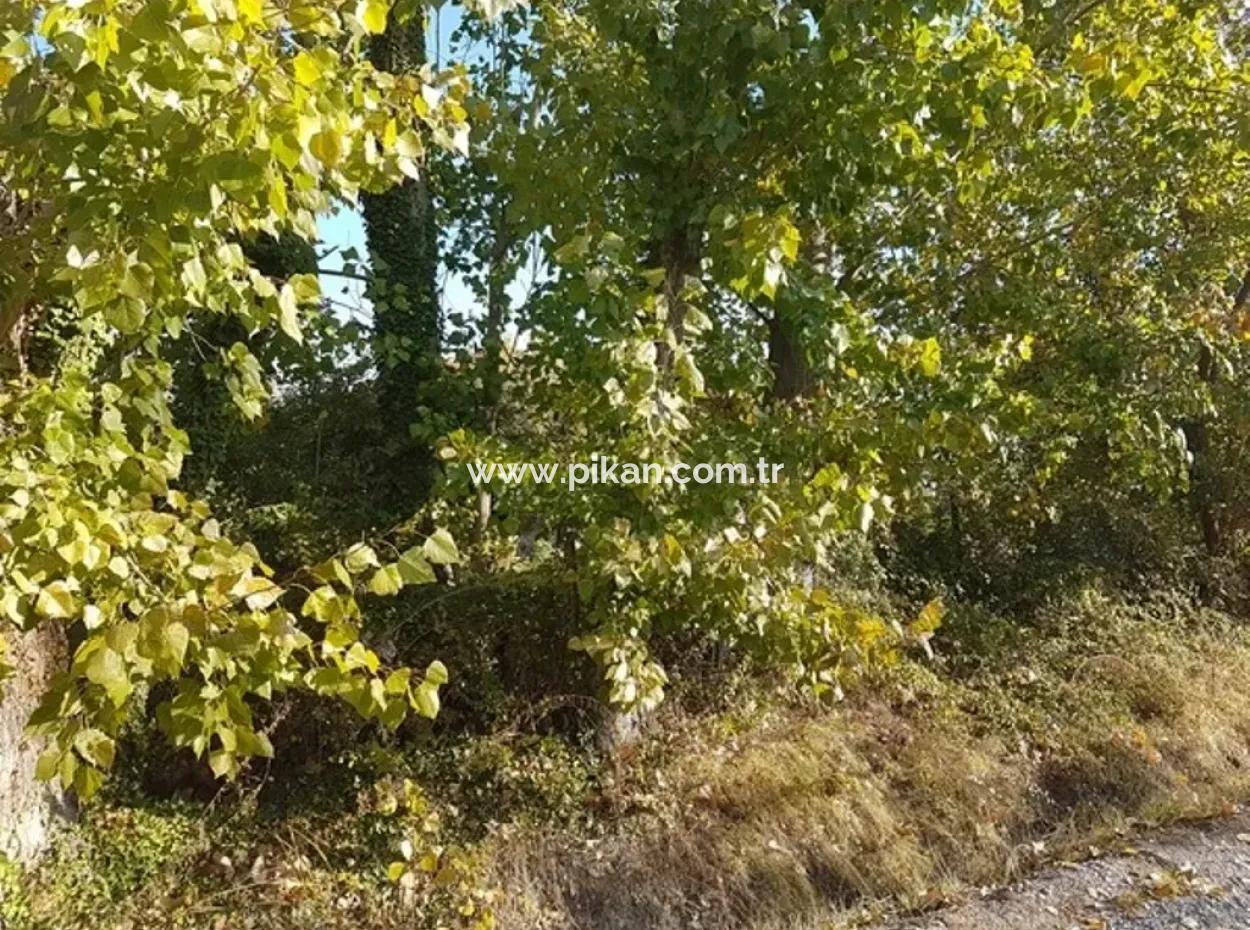 Bargain Plot For Sale In Archer