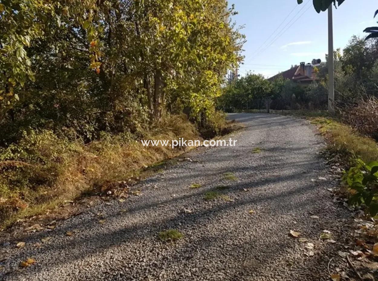 Bargain Plot For Sale In Archer