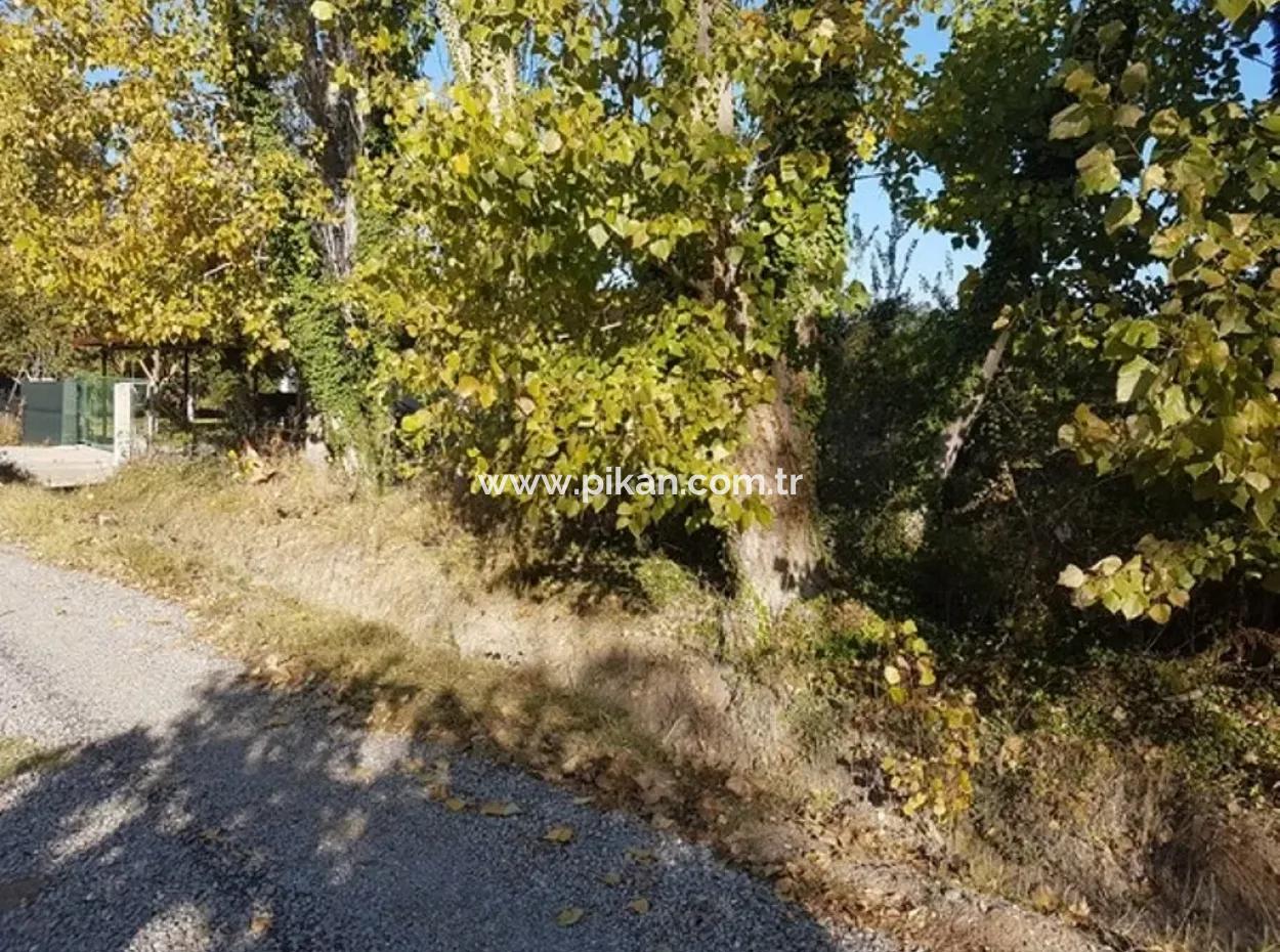 Bargain Plot For Sale In Archer