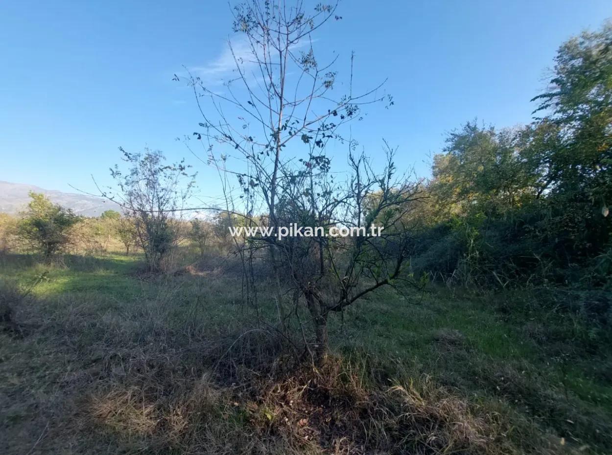 9 600 M2 Land Close To The Lake In Köyceğiz Toparlar Is For Sale