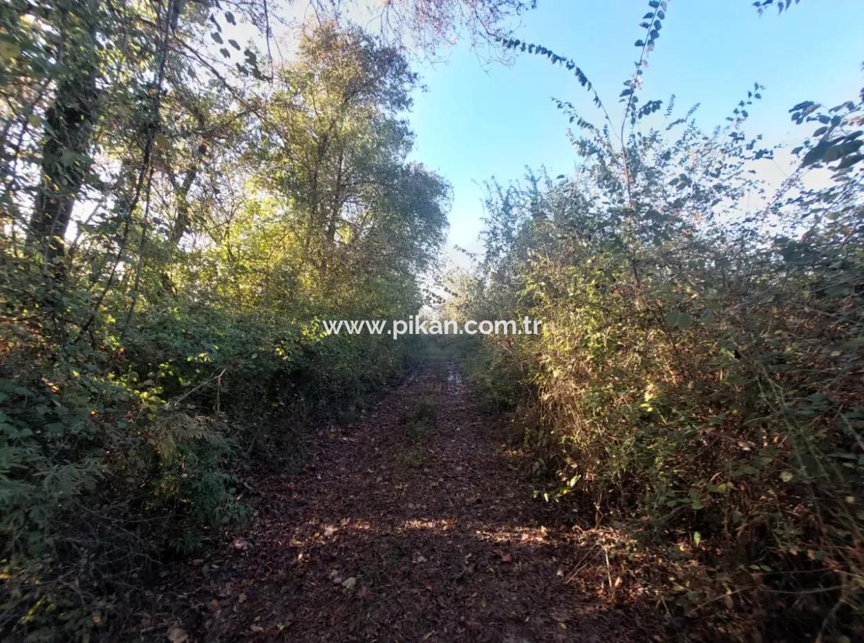 9 600 M2 Land Close To The Lake In Köyceğiz Toparlar Is For Sale