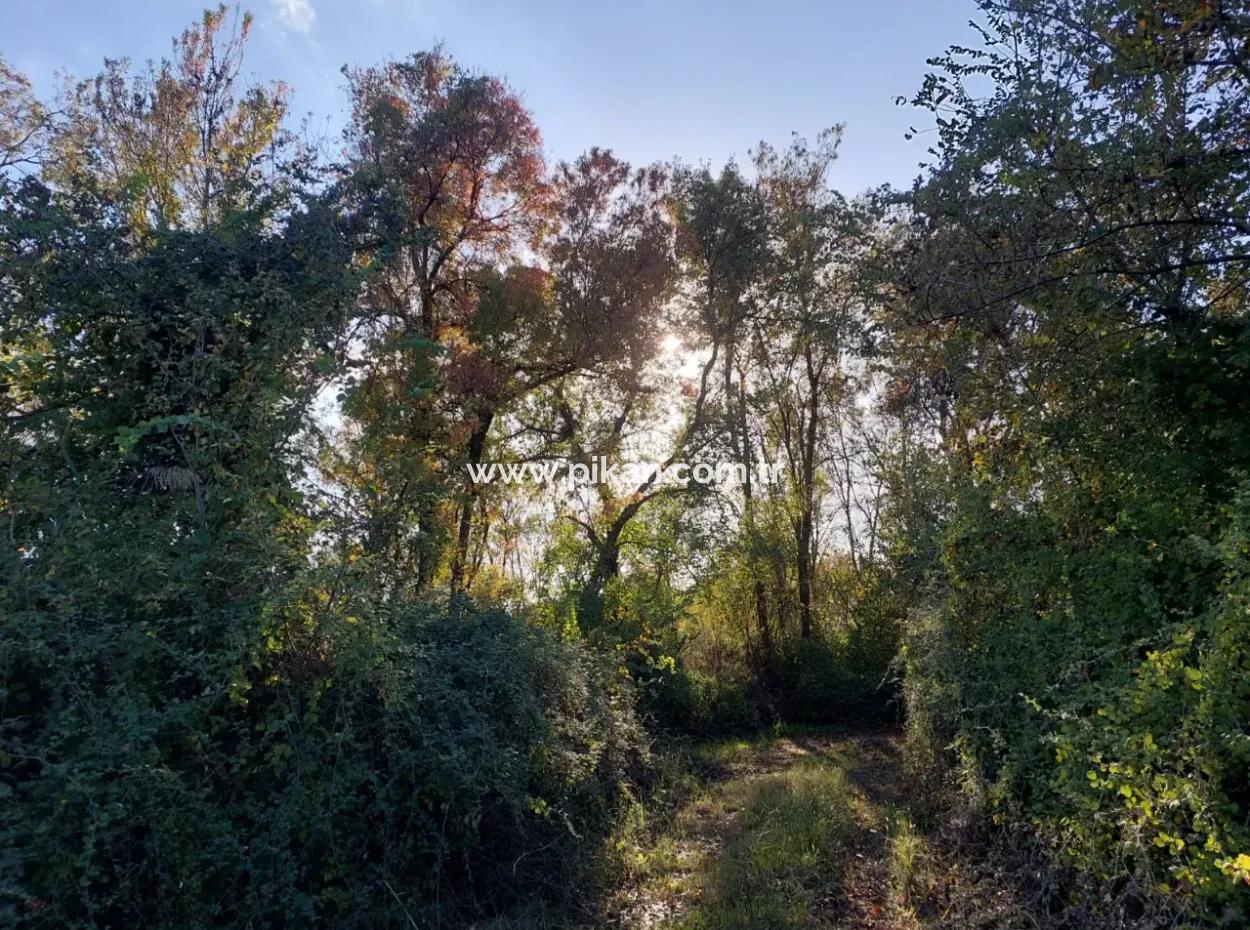 9 600 M2 Land Close To The Lake In Köyceğiz Toparlar Is For Sale