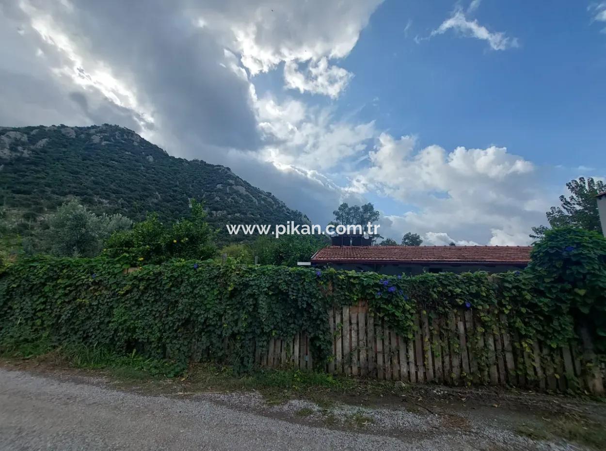 5.000 M2 Land With 150 M2 Construction Right Is For Sale In Muğla Dalyan