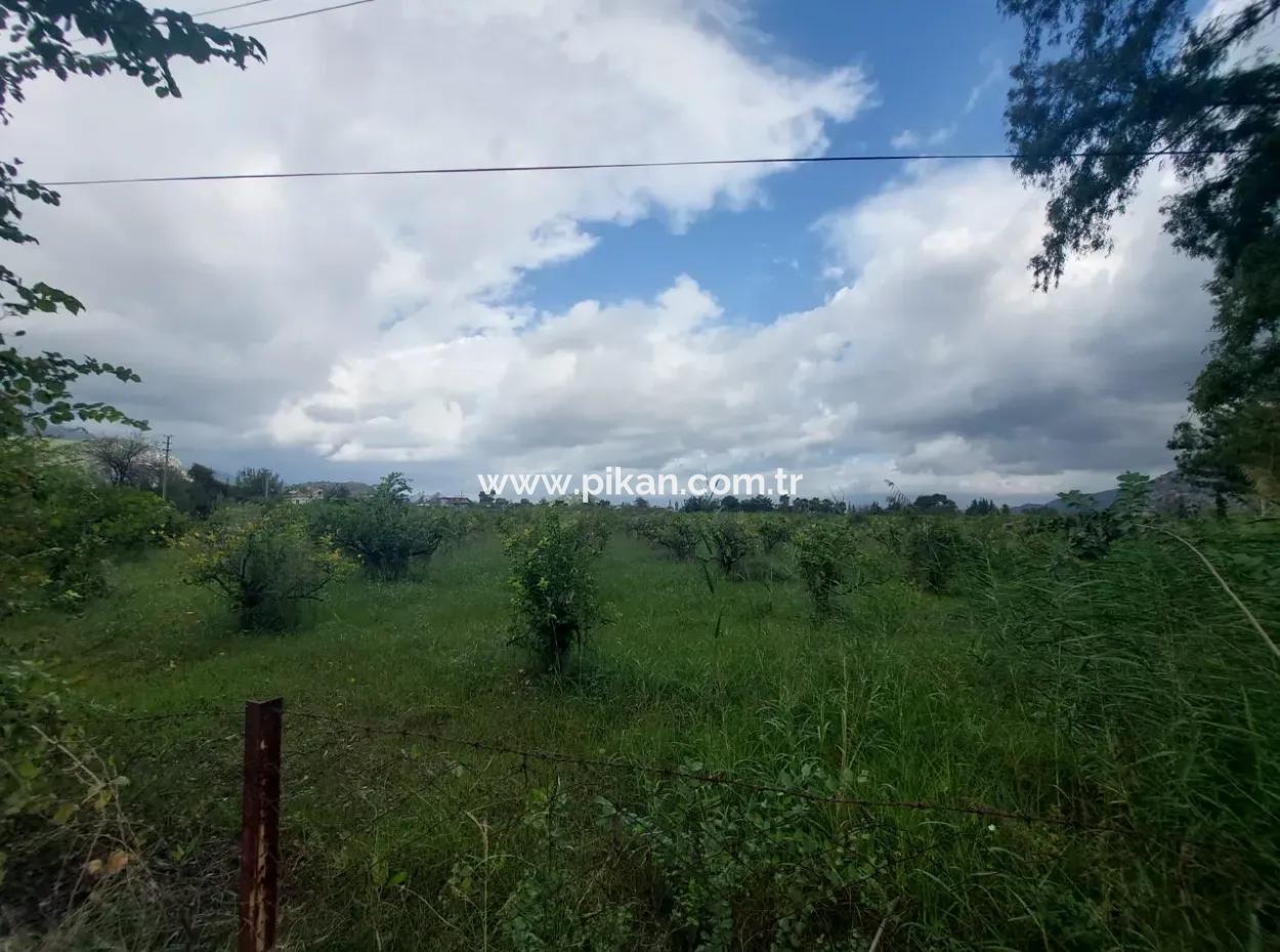 5.000 M2 Land With 150 M2 Construction Right Is For Sale In Muğla Dalyan