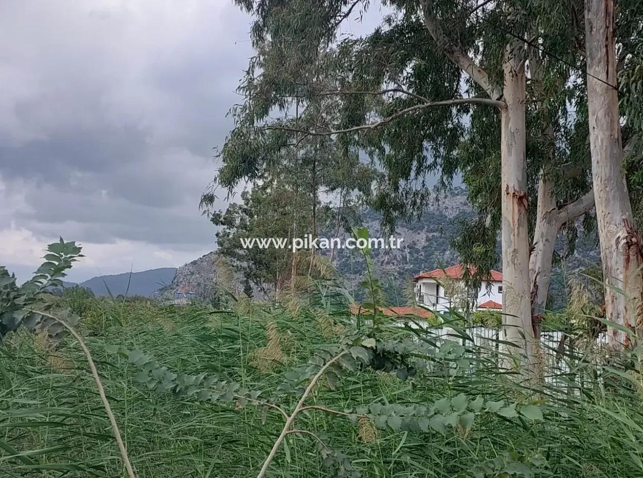5.000 M2 Land With 150 M2 Construction Right Is For Sale In Muğla Dalyan