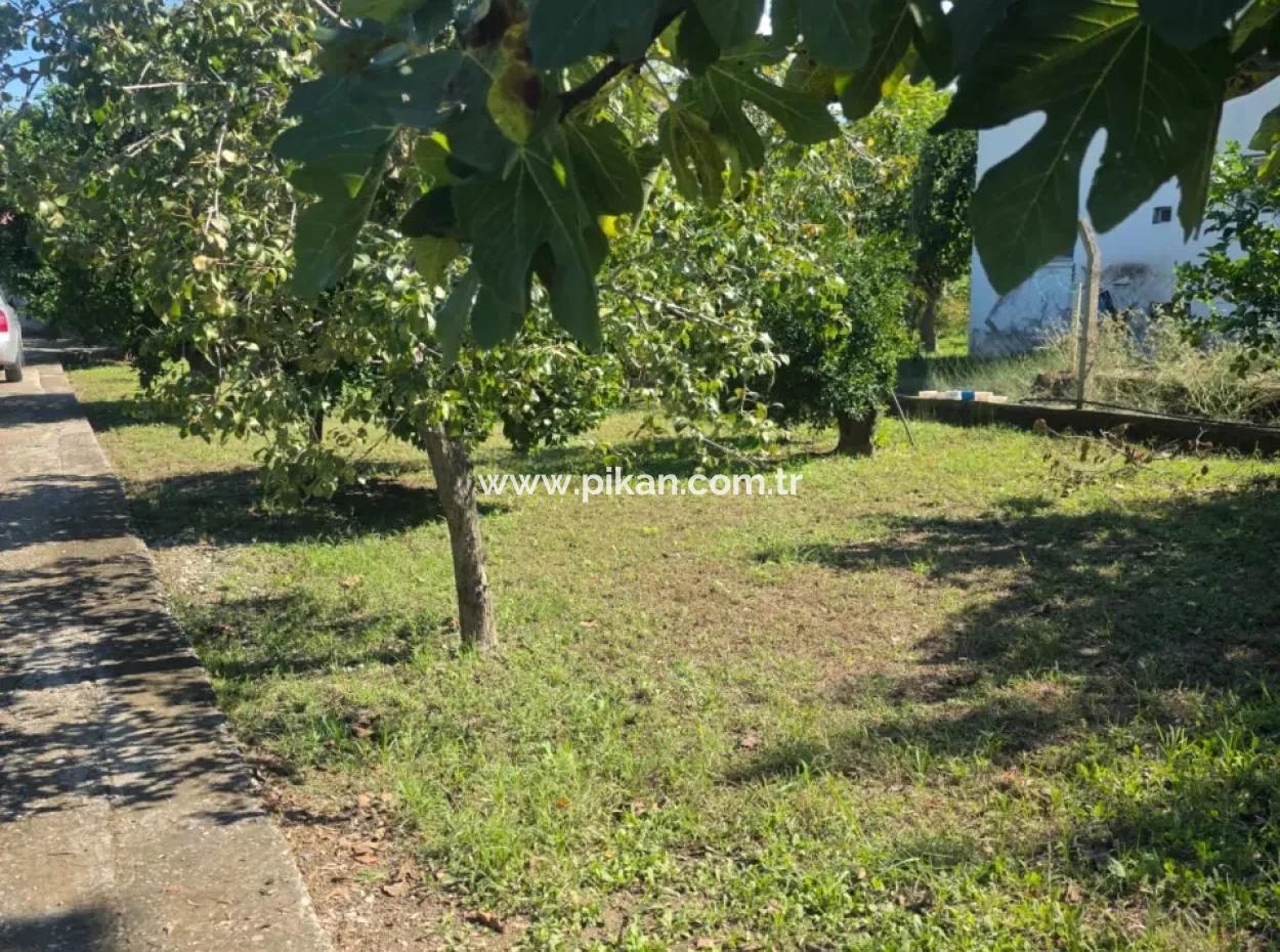 2 1, 70 M2 Village House For Sale On 902 M2 Land Zero To Ortaca Akıncı Sarıgerme Road