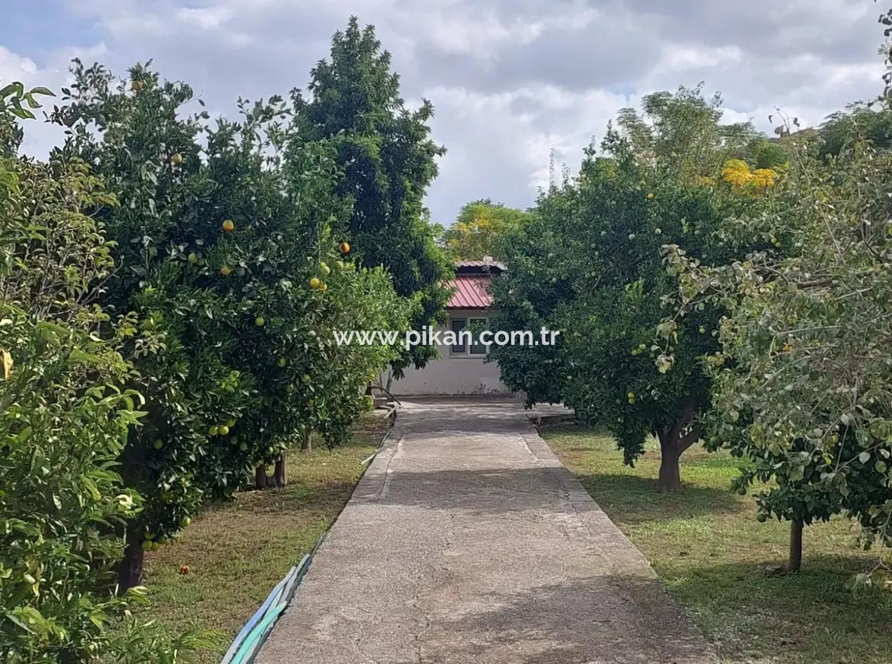 2 1, 70 M2 Village House For Sale On 902 M2 Land Zero To Ortaca Akıncı Sarıgerme Road