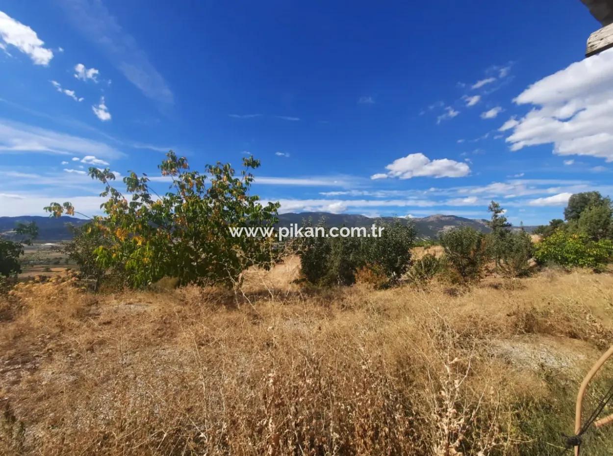 2 1 Houses And 200 M2 Barn On 5 000 M2 Detached Land In Çameli Kızılyaka For Sale