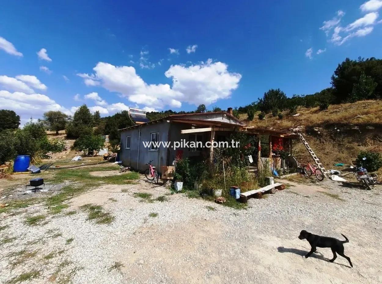 2 1 Houses And 200 M2 Barn On 5 000 M2 Detached Land In Çameli Kızılyaka For Sale