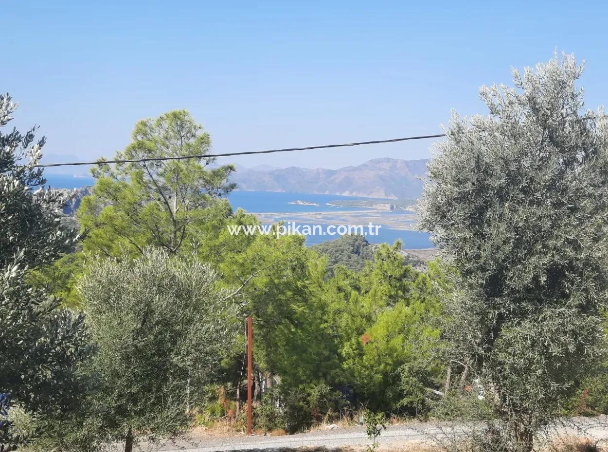 Muğla Dalyan Gökbelde Sea View, Swimming Pool, 1800 M2 Land 2 1 Furnished Stone House For Sale