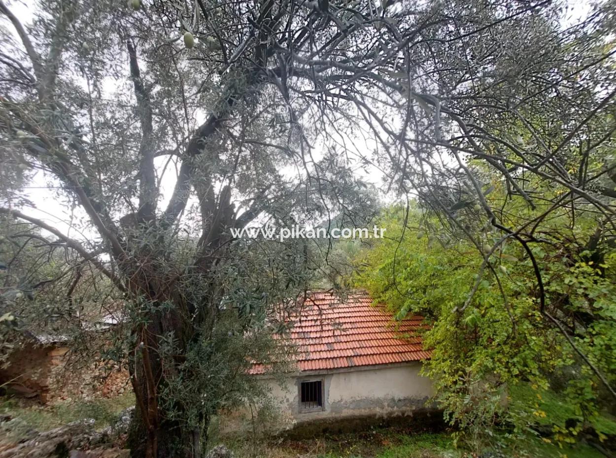 Village House With Title Deed For Sale In Nature In Muğla Fethiye İnlice