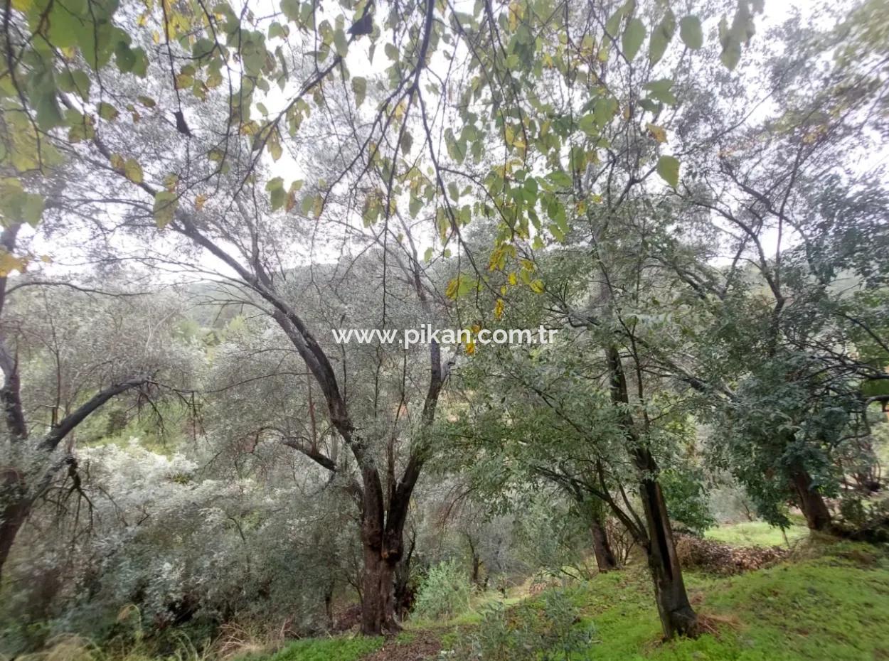 Village House With Title Deed For Sale In Nature In Muğla Fethiye İnlice