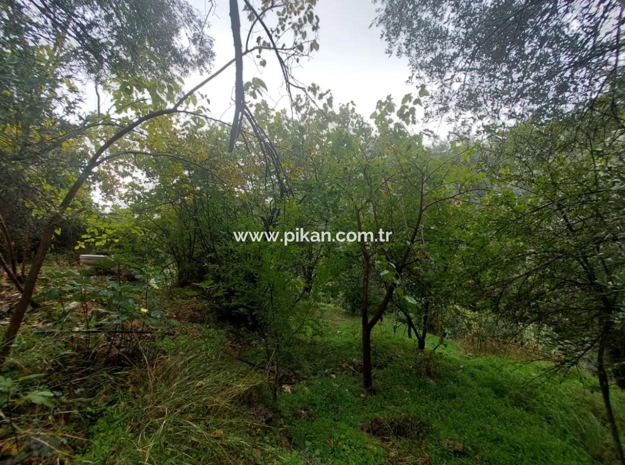 Village House With Title Deed For Sale In Nature In Muğla Fethiye İnlice