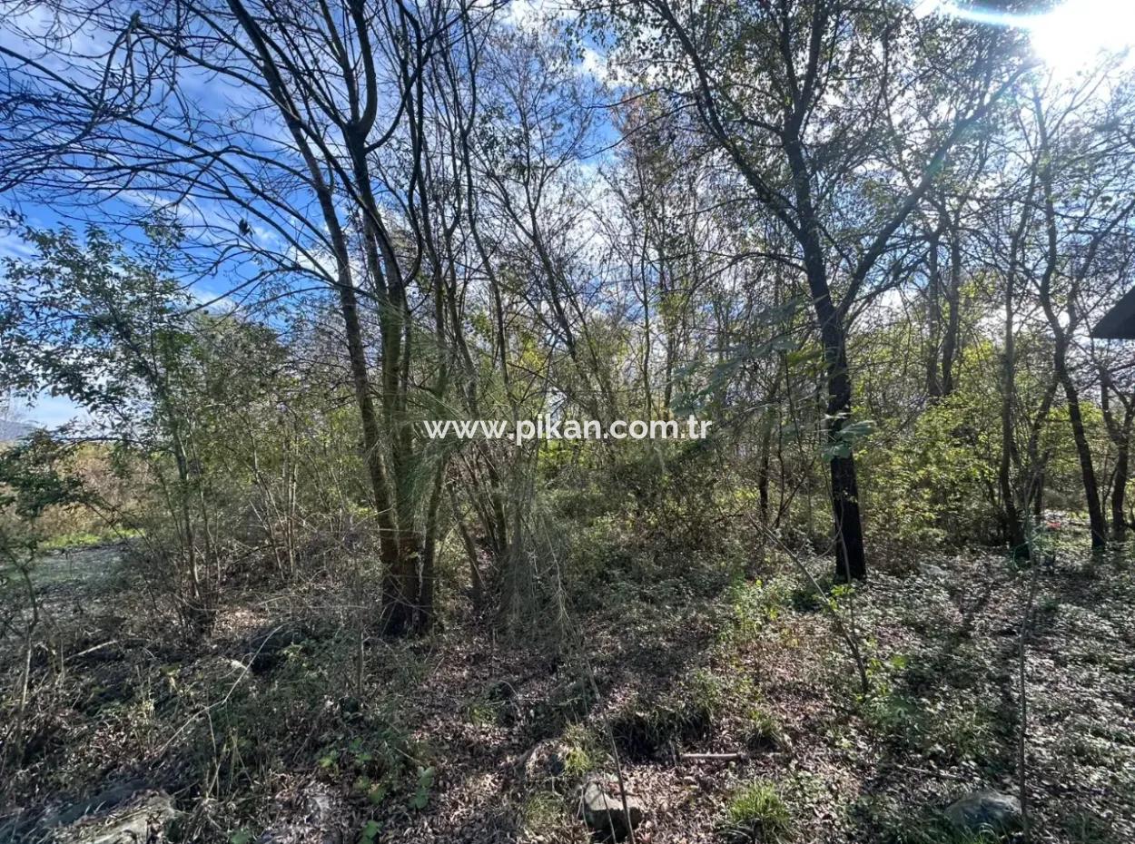 12 000 M2 Field For Sale In Ortaca Yeşilyurt
