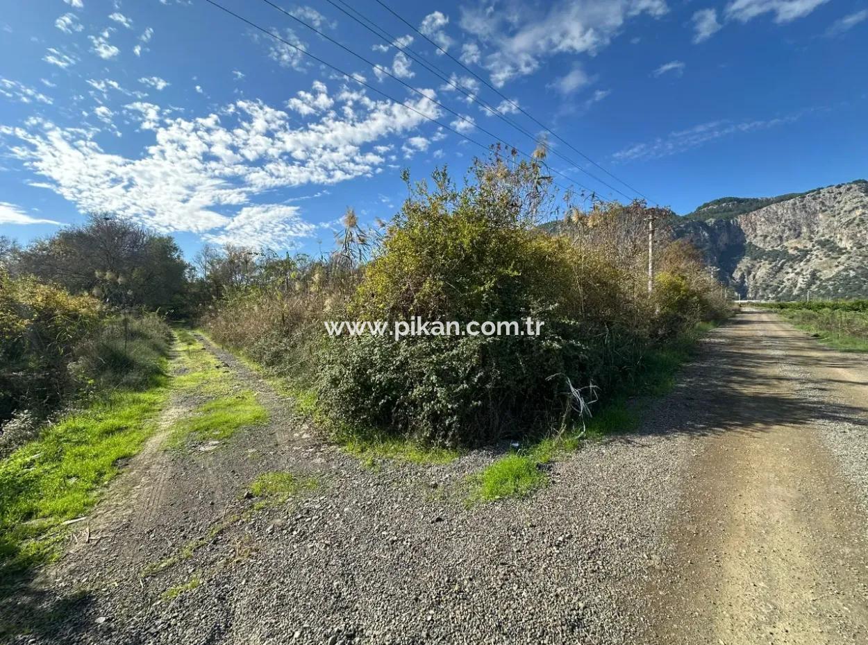 12 000 M2 Field For Sale In Ortaca Yeşilyurt