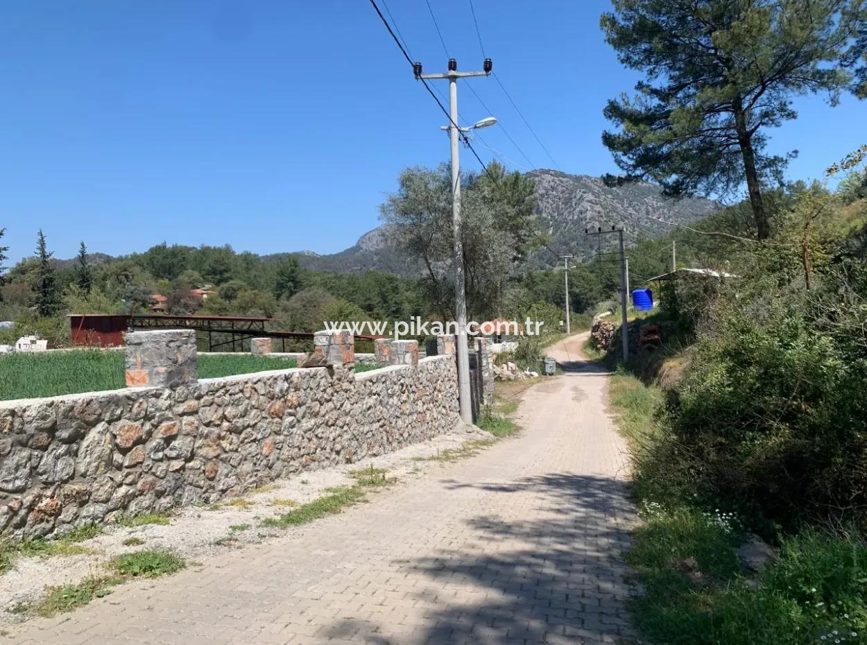 Dalyan Gökbelde 678 M2 Share For Sale