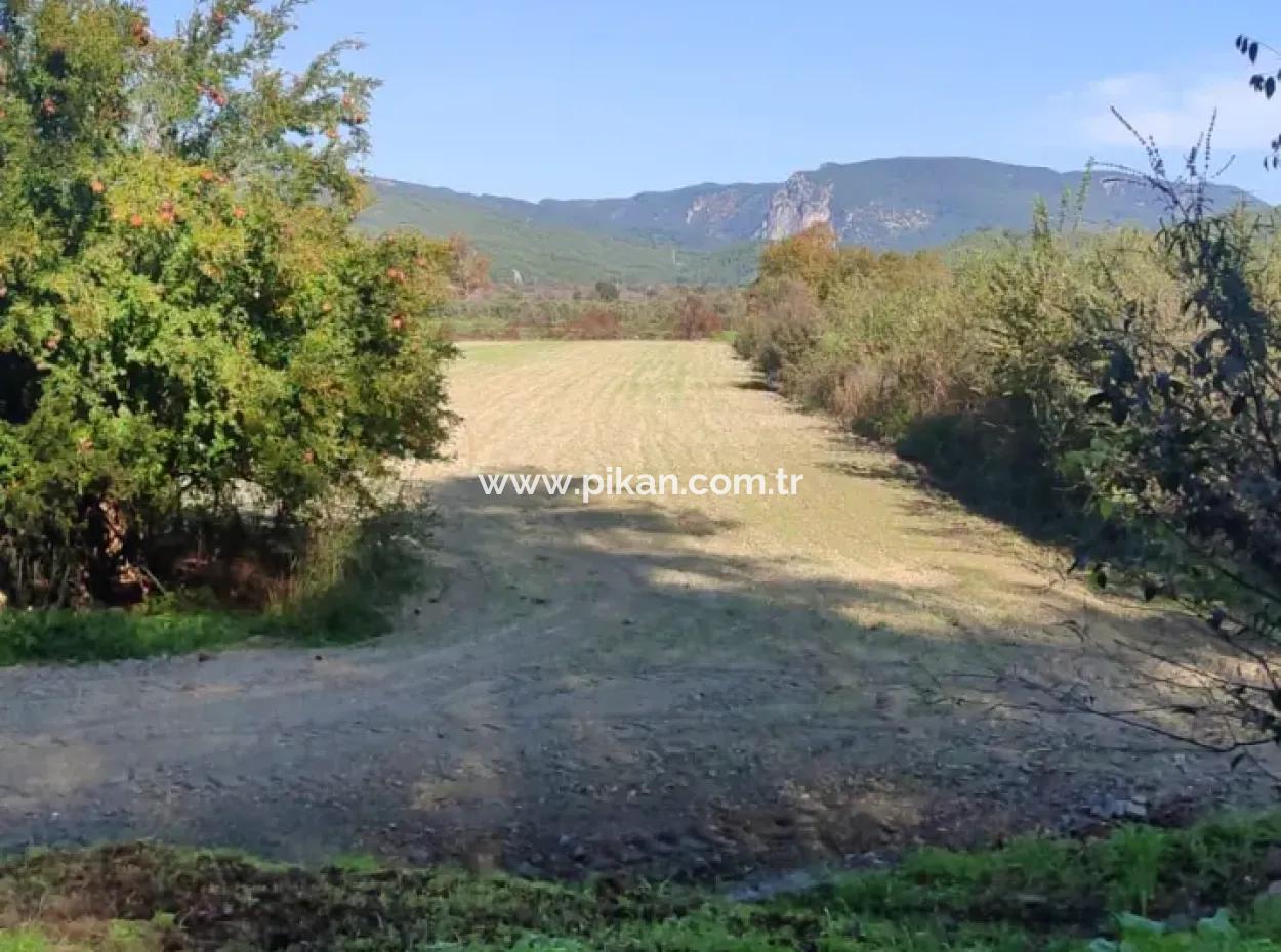 Bargain 6 000 M2 Land For Sale In Muğla Ula Karabörtlende