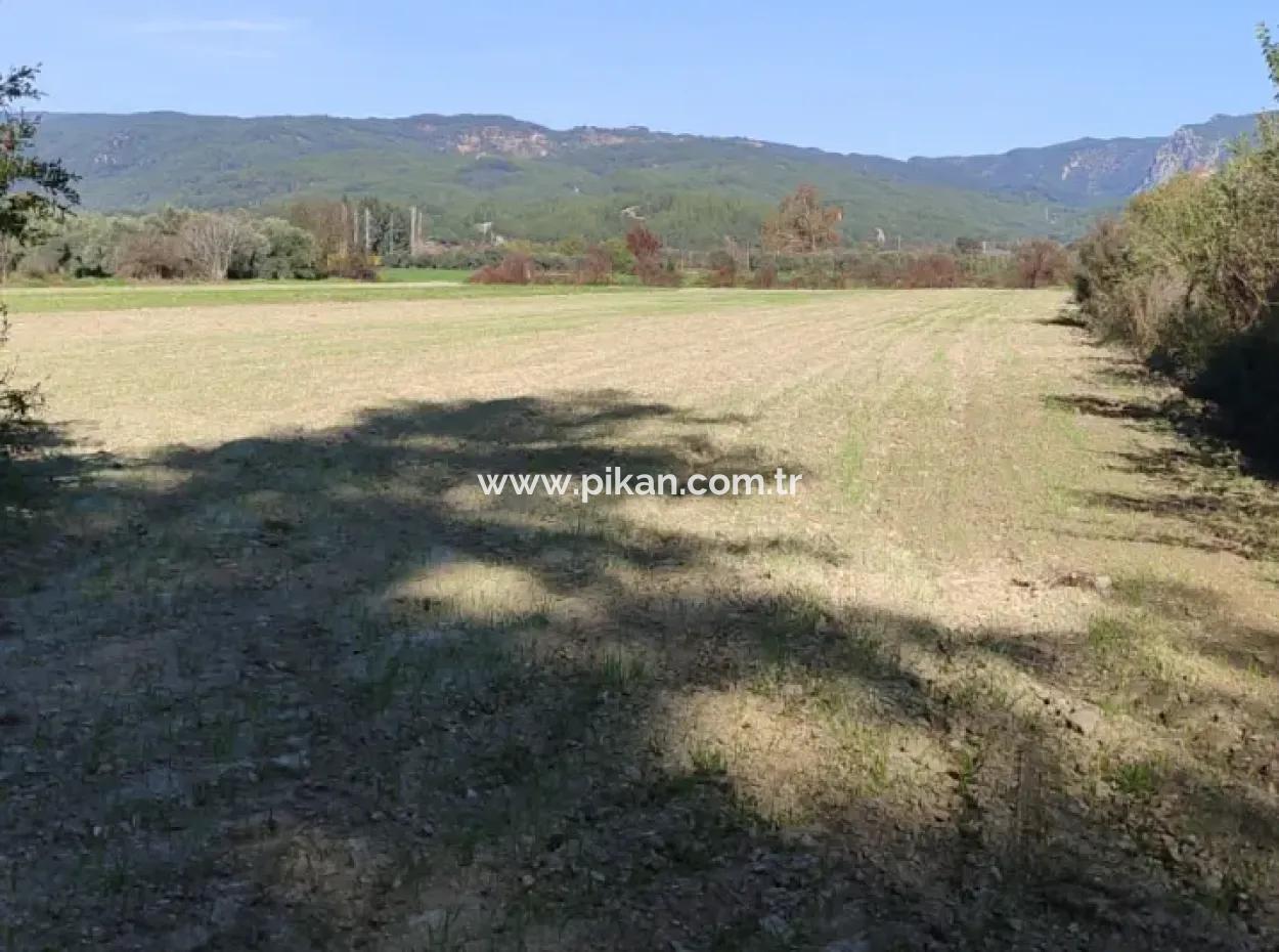 Bargain 6 000 M2 Land For Sale In Muğla Ula Karabörtlende