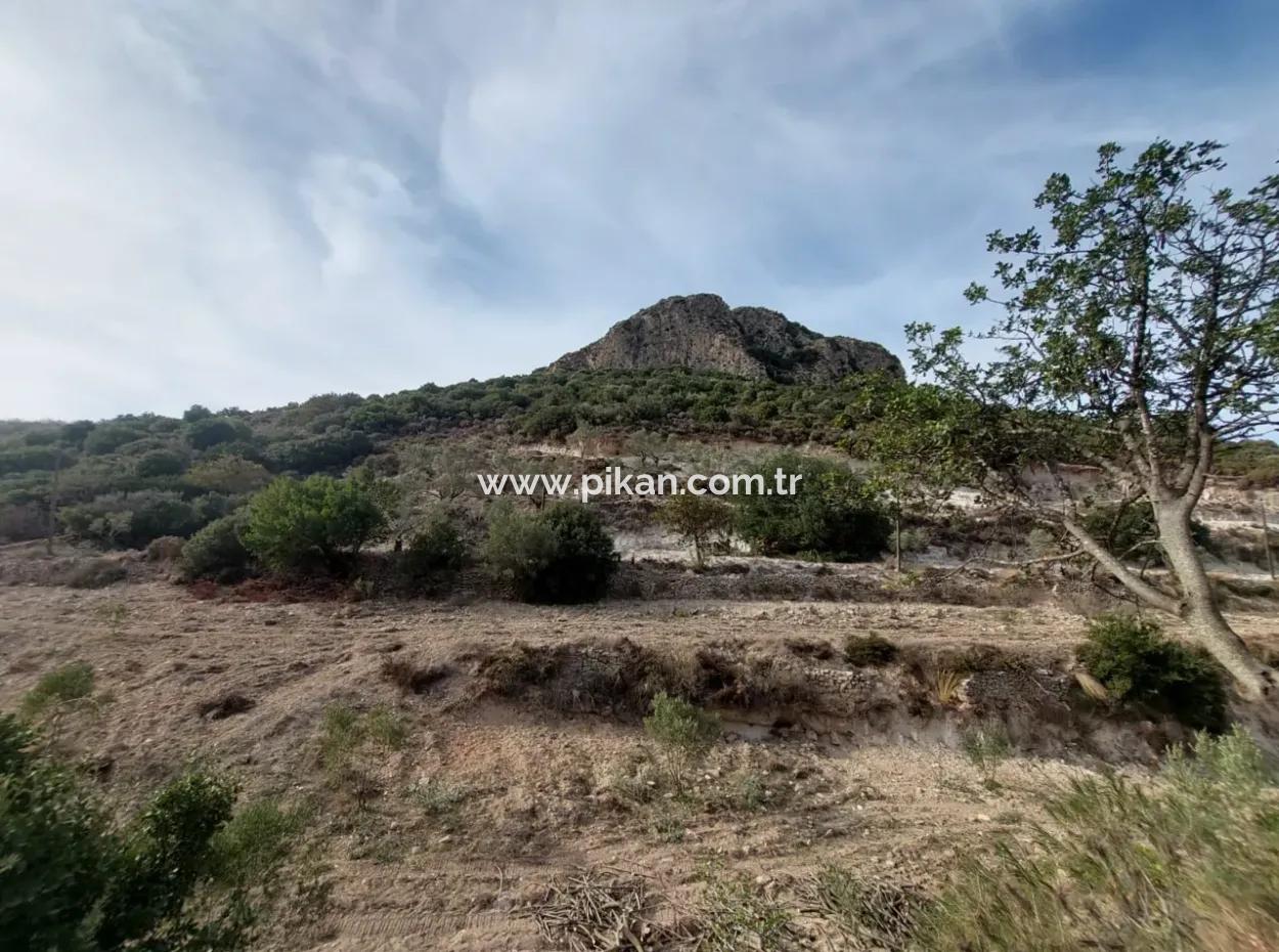 15 200 M2 Detached Land For Sale In Muğla Datça Yazi