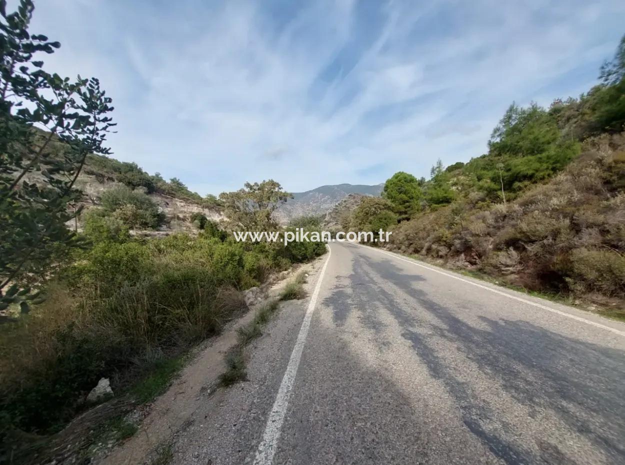 15 200 M2 Detached Land For Sale In Muğla Datça Yazi