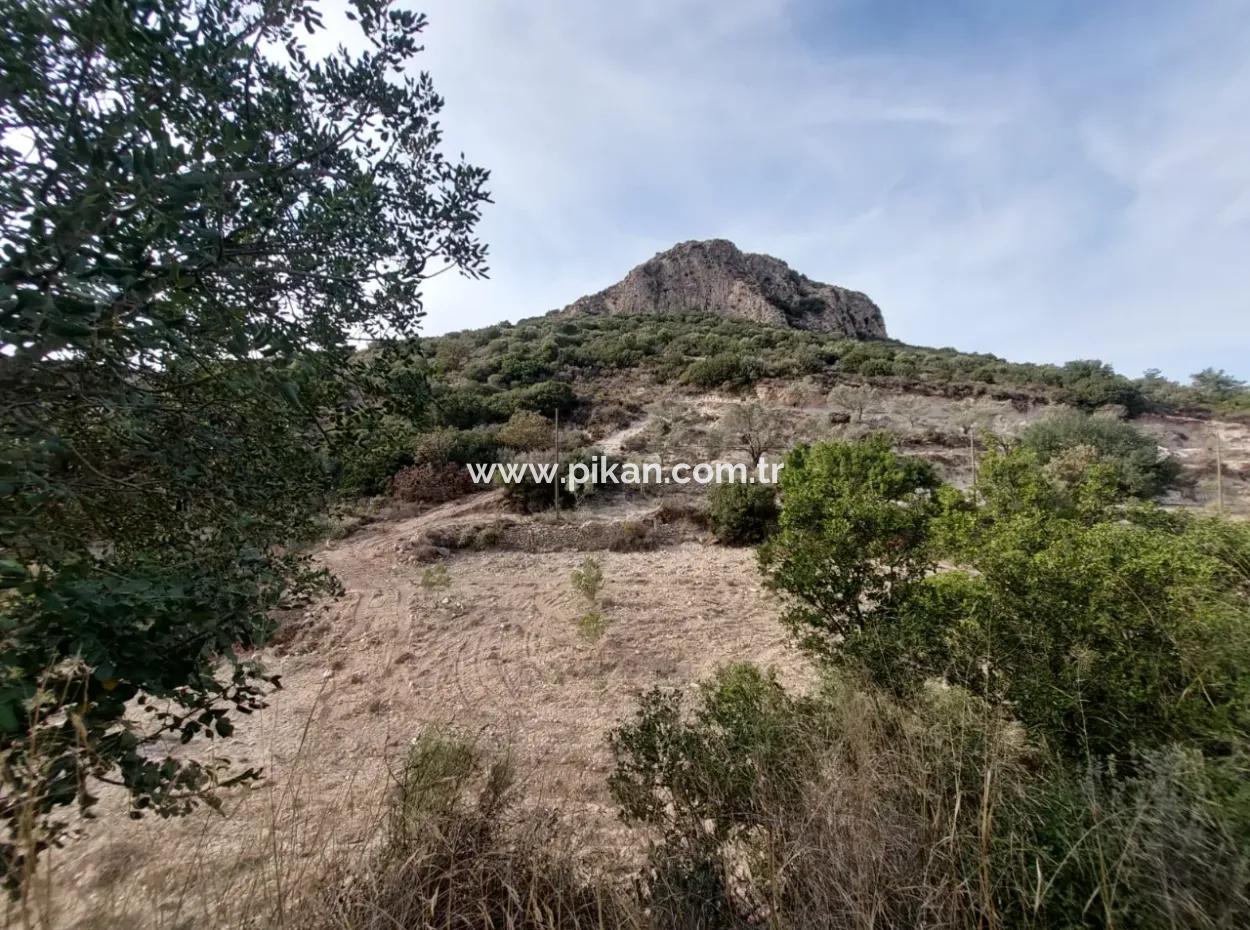 15 200 M2 Detached Land For Sale In Muğla Datça Yazi