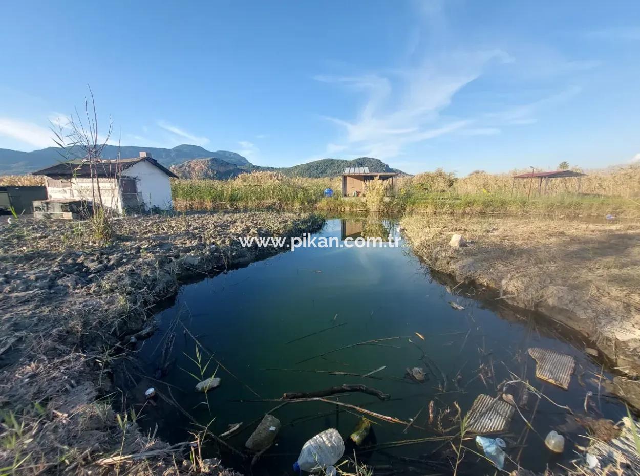Container With Boat Mooring Place By The Canal In Muğla Ortaca Dalyan – For Sale