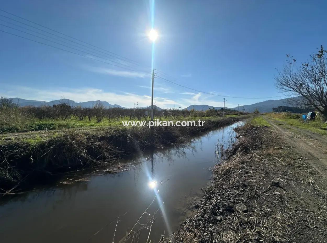 Field For Sale Close To Dalyan, Close To Köyceğiz Lake