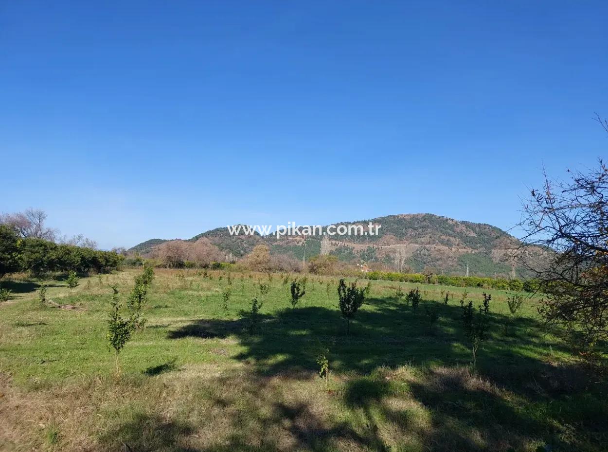 1000M2 Detached Land With 250 M2 Construction Right In Ortaca Okçular For Sale
