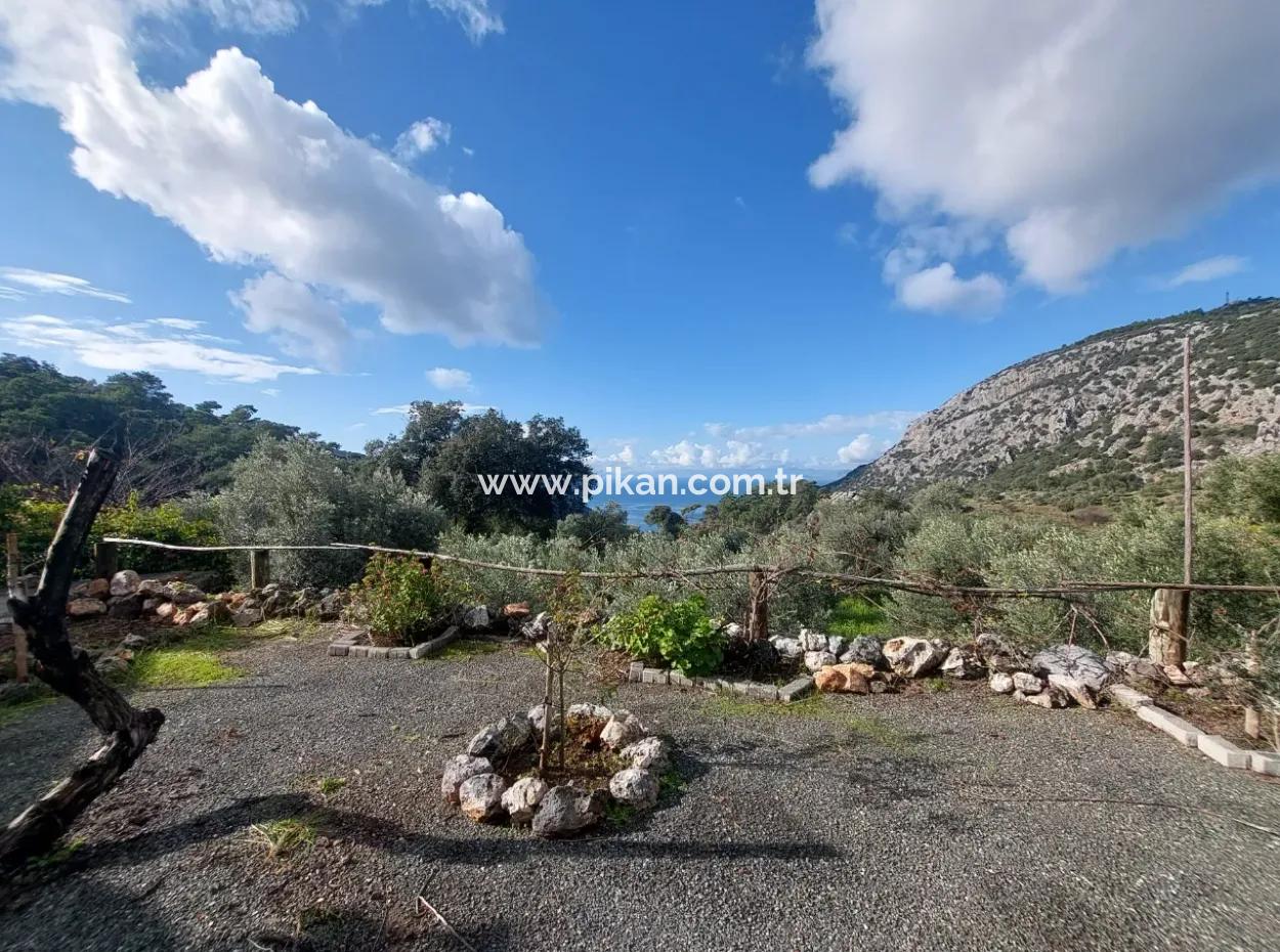 2 Detached Flats With Sea View In Gökbel, Muğla Dalyan For Rent