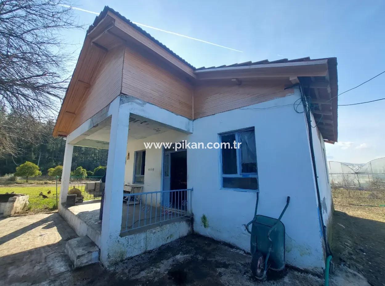 Muğla, Köyceğiz, Kavakarası 2 1, 3 Independent Kelepir Village Houses For Sale On 1500 M2 Land