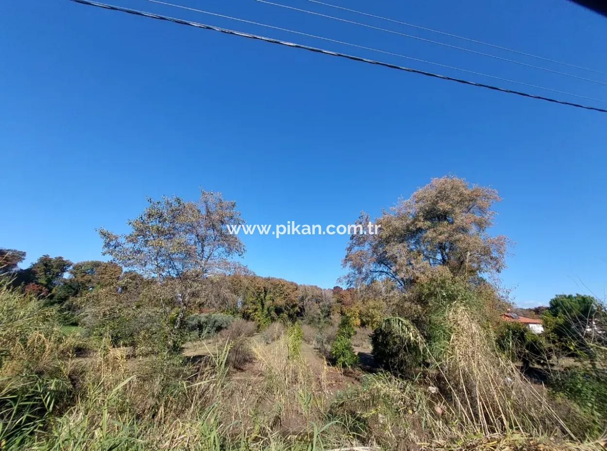 Bargain Suitable For Investment In Muğla Dalyan 4 000 M2 Land By The Forest Is For Sale