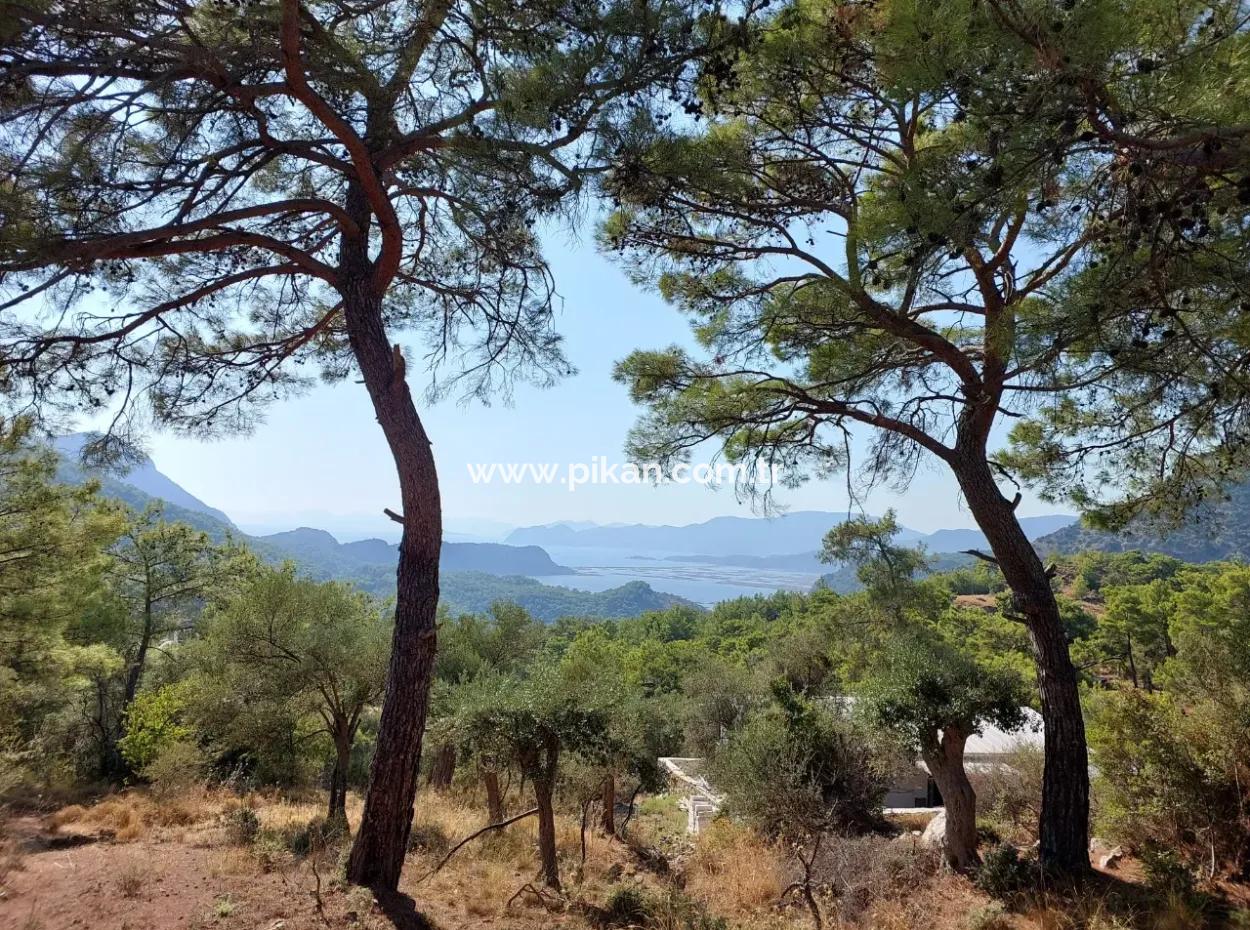 Detached 762 M2 Land Suitable For Investment With Nature And Sea Views In Muğla Ortaca Gökbel Is For Sale
