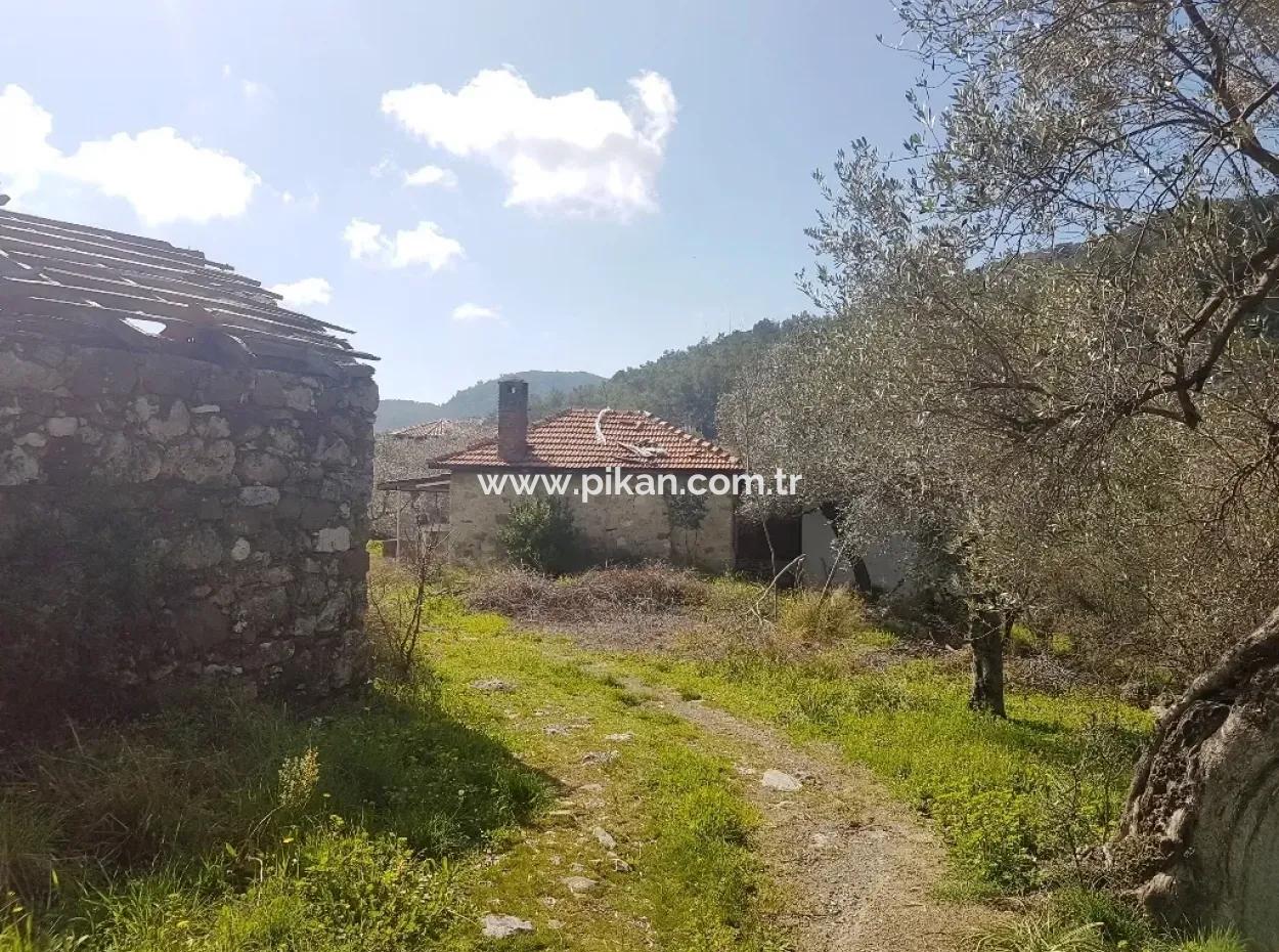 Land For Sale In Dalaman Honor Kircagedire