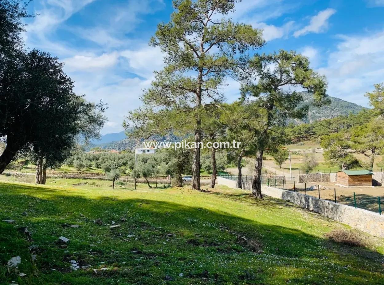 Detached Field For Sale In Ortaca Gökbel