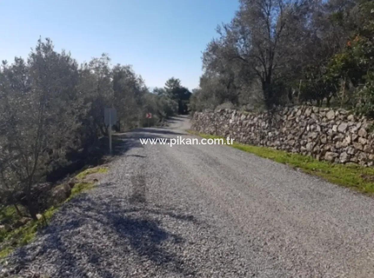 Sea View Land For Sale In Göcek Gökçeovacık