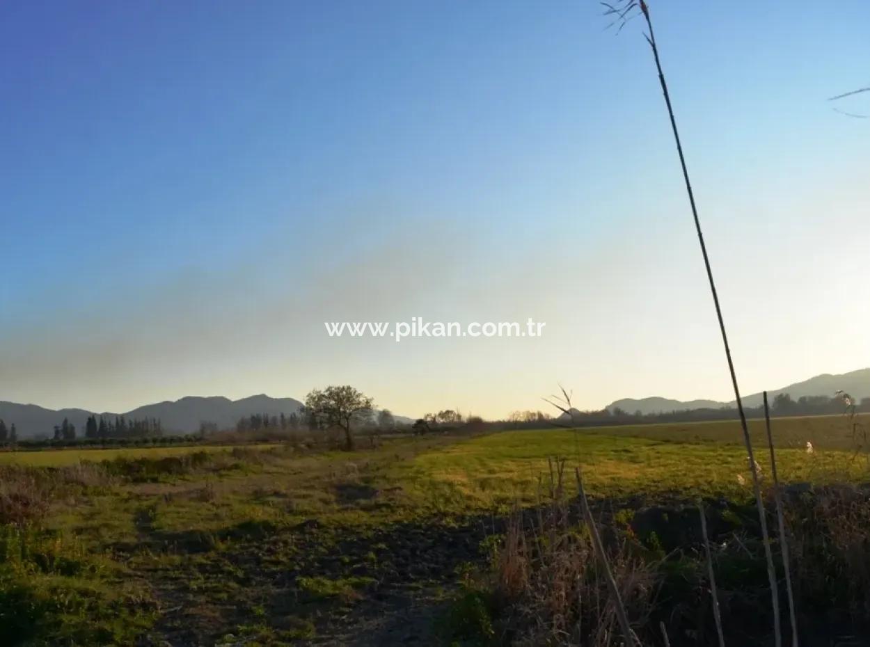 Urgent Land For Sale In Ula Karabogurtlen Bargain