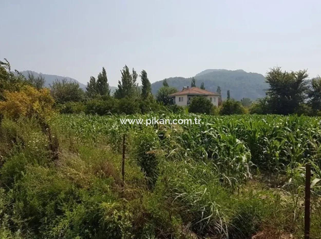 3000 M2 Land Suitable For Investment For Sale In Mugla Ortaca Archers
