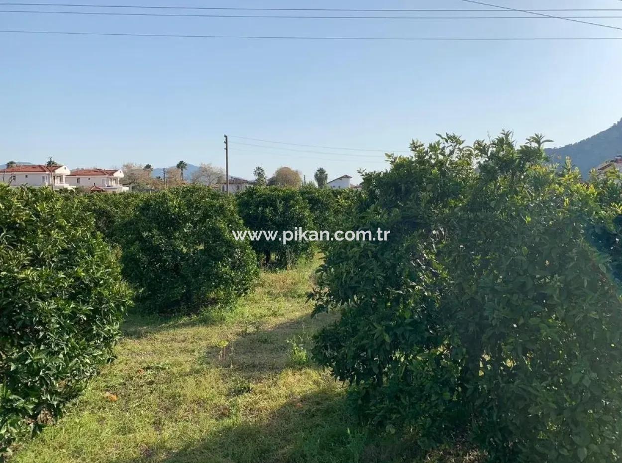 830 M2 Plot For Sale Bargain In Dalyan