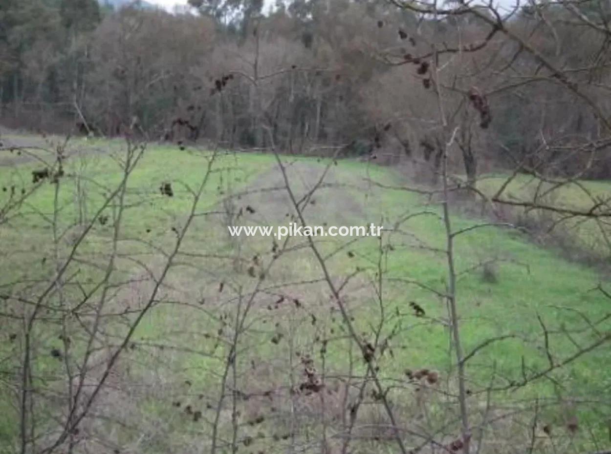 Ula Karabortlen Zero On The Main Road Land For Sale