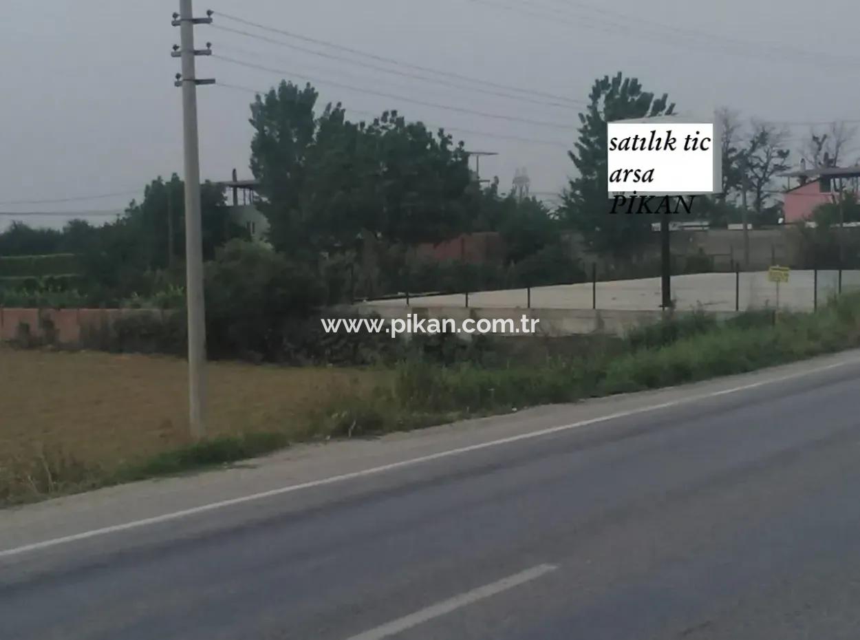 Commercial Zoned Land For Sale In Aydin Incirliova Diabetes