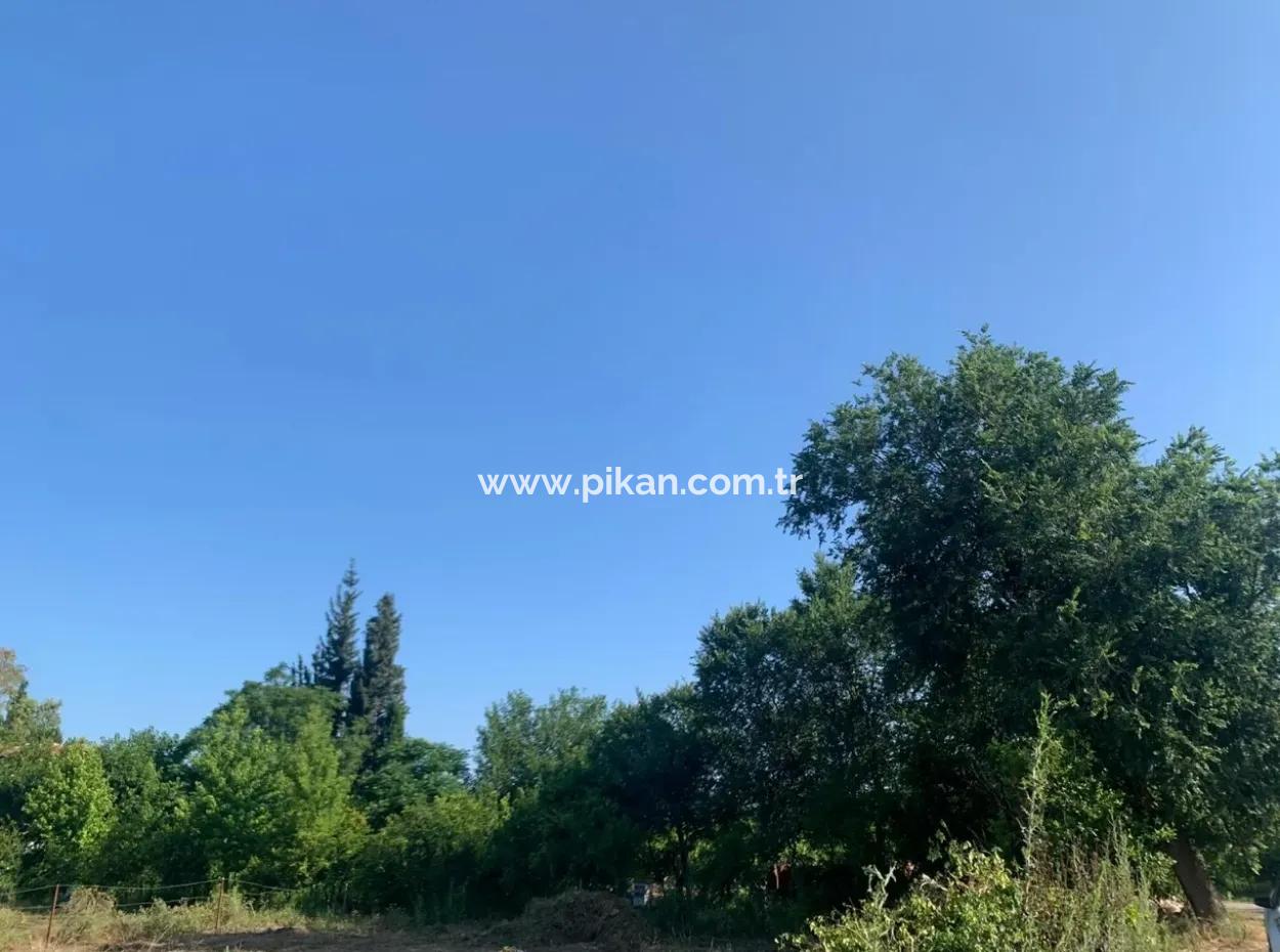 Villa 358 M2 Land For Sale In Oriya Also