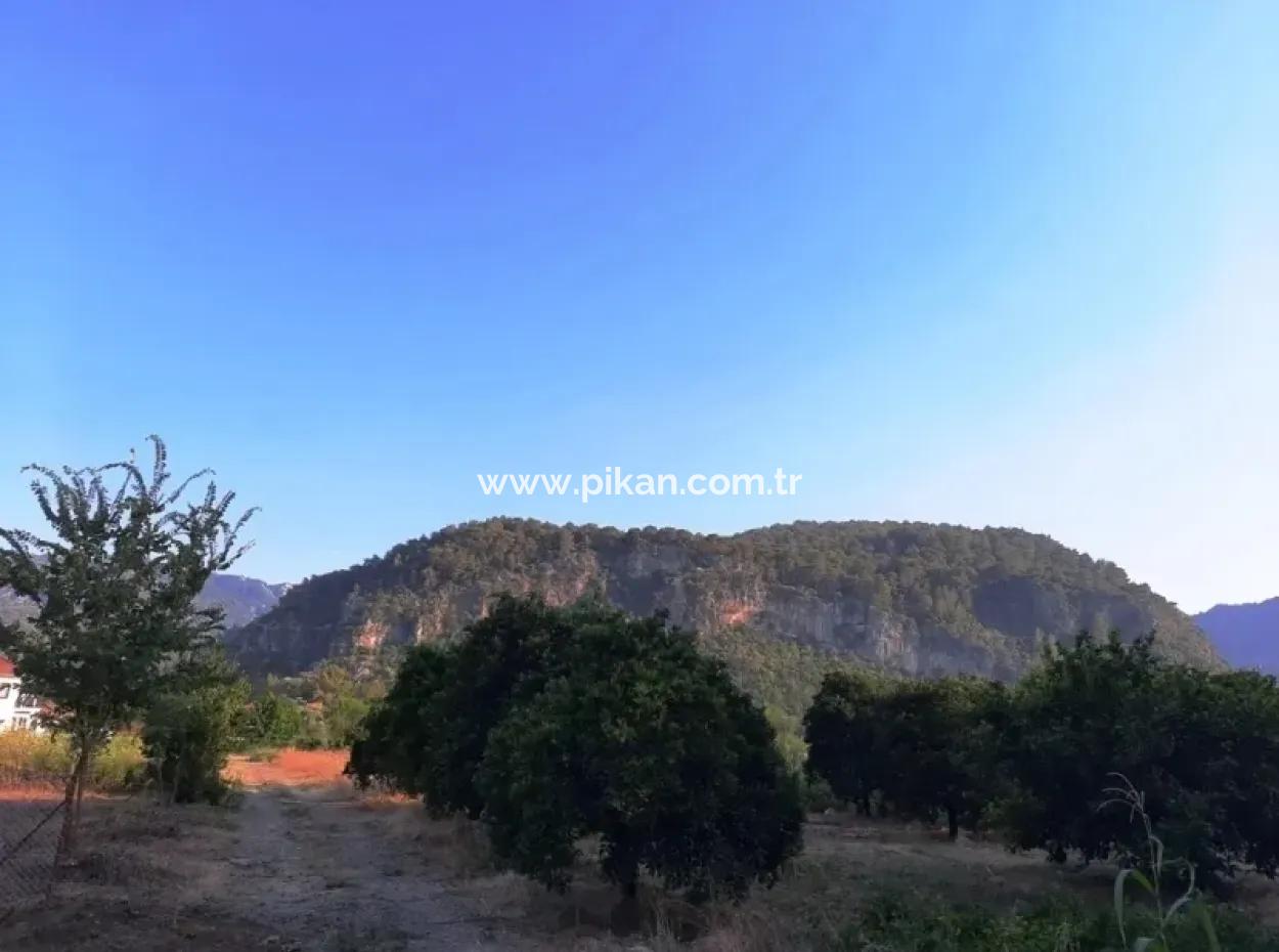 Archers Land For Sale With Title Deeds