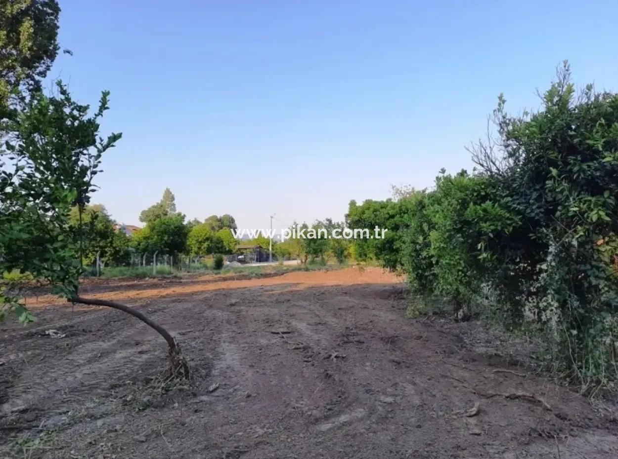 Archers Land For Sale With Title Deeds