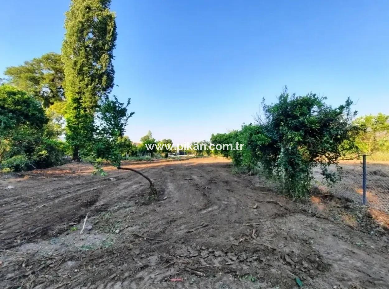 Archers Land For Sale With Title Deeds