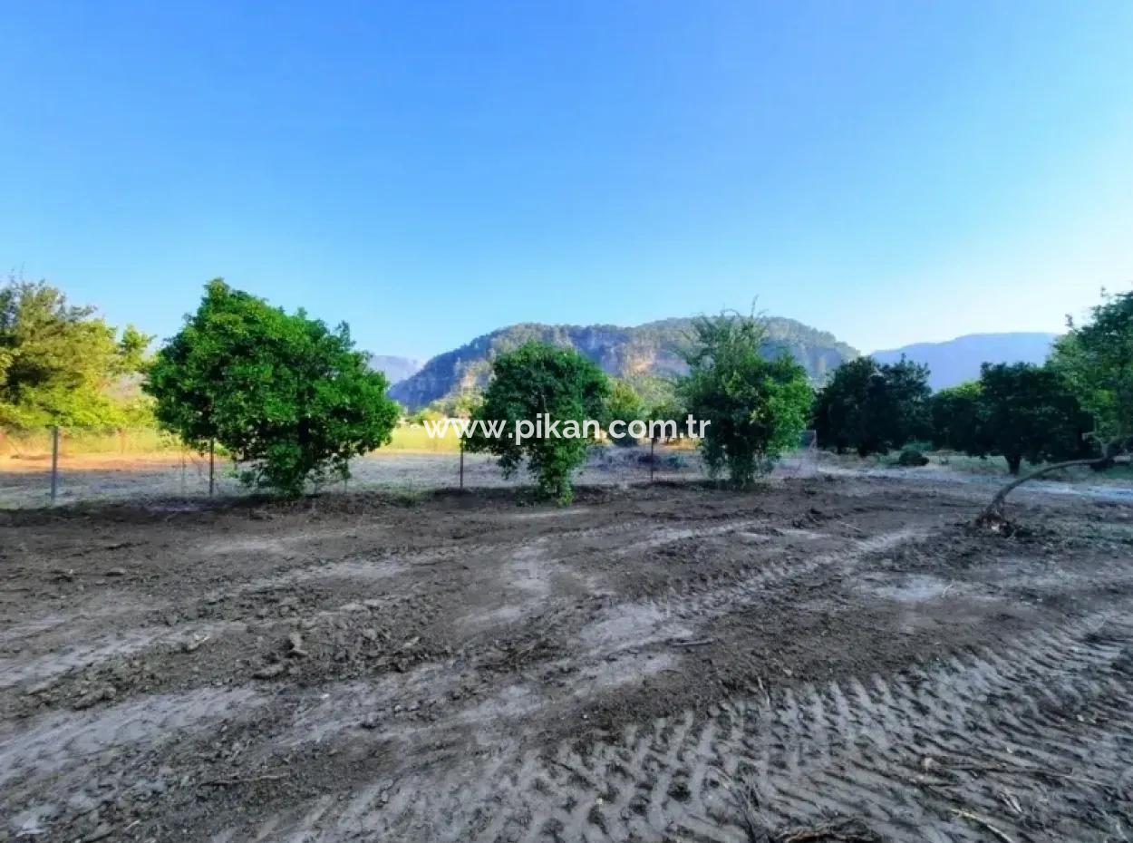 Archers Land For Sale With Title Deeds