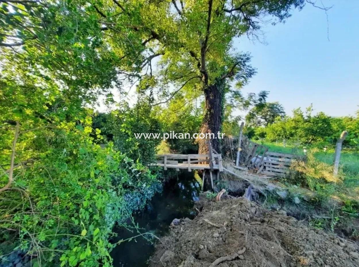 Archers Land For Sale With Title Deeds