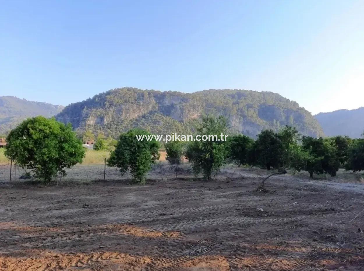 Archers Land For Sale With Title Deeds